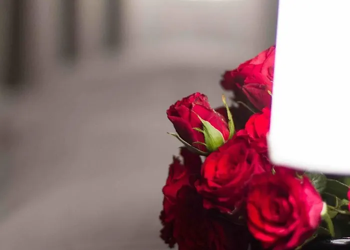 Hotel Le Chatelet 3*